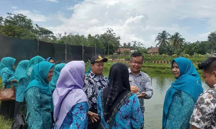 _IMG_2020 Penajambi