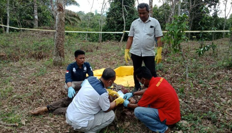 IMG Husnil Penajambi16