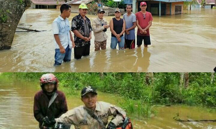IMG Penajambi56