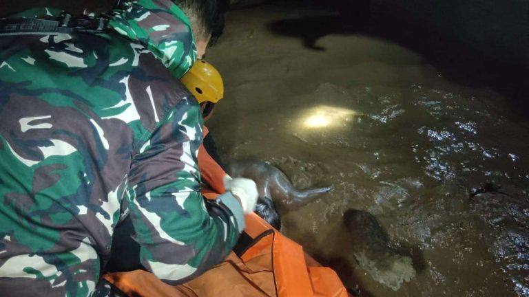 Sinergitas Bersama, Warga Tenggelam Di Sungai Batang Merangin Desa Kasang Melintang Akhirnya Ditemukan 