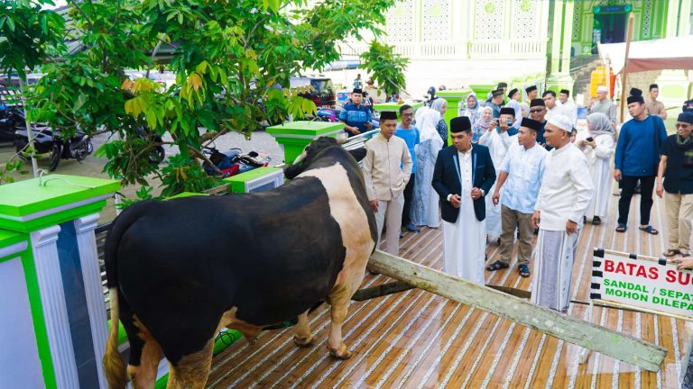 Bupati Sarolangun Hurmin Serahkan Sapi Presiden RI Dengan Berat Hampir 1 Ton Ke Panitia Qurban Mesjid Al-Falah 